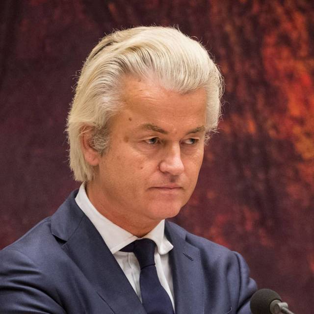WIlders Red background