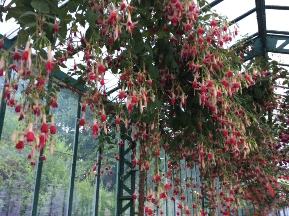 07C09771-6257-47E3-9ED2-6BA5A5ADFFDD