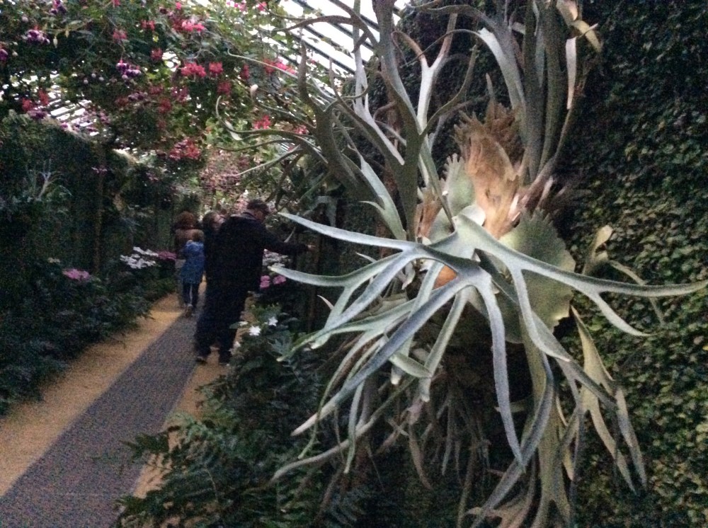 CD920409-8A25-4F38-847C-7F1FA2C03A17