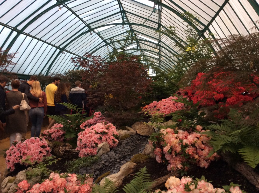 DA0F1997-F40B-4B46-8174-E9EB858F5058